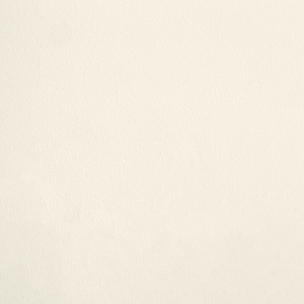 R238 - Le Cygne – Ressource Paints