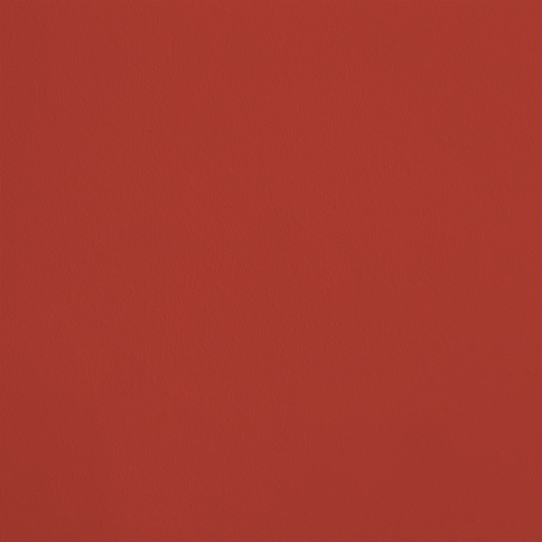 R313 - L'Amuse-Bouche