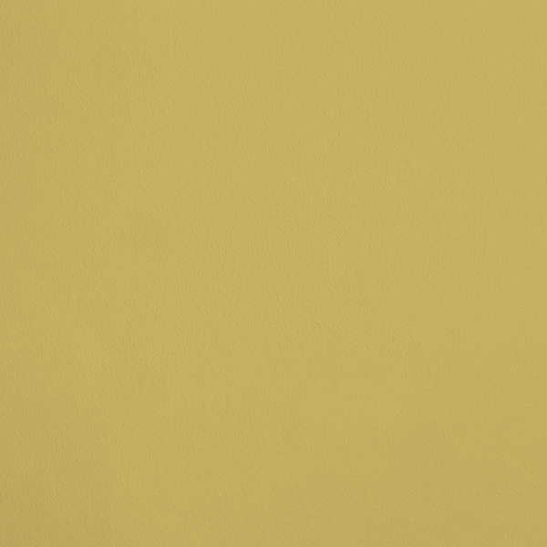 R411 -  La Préciosité