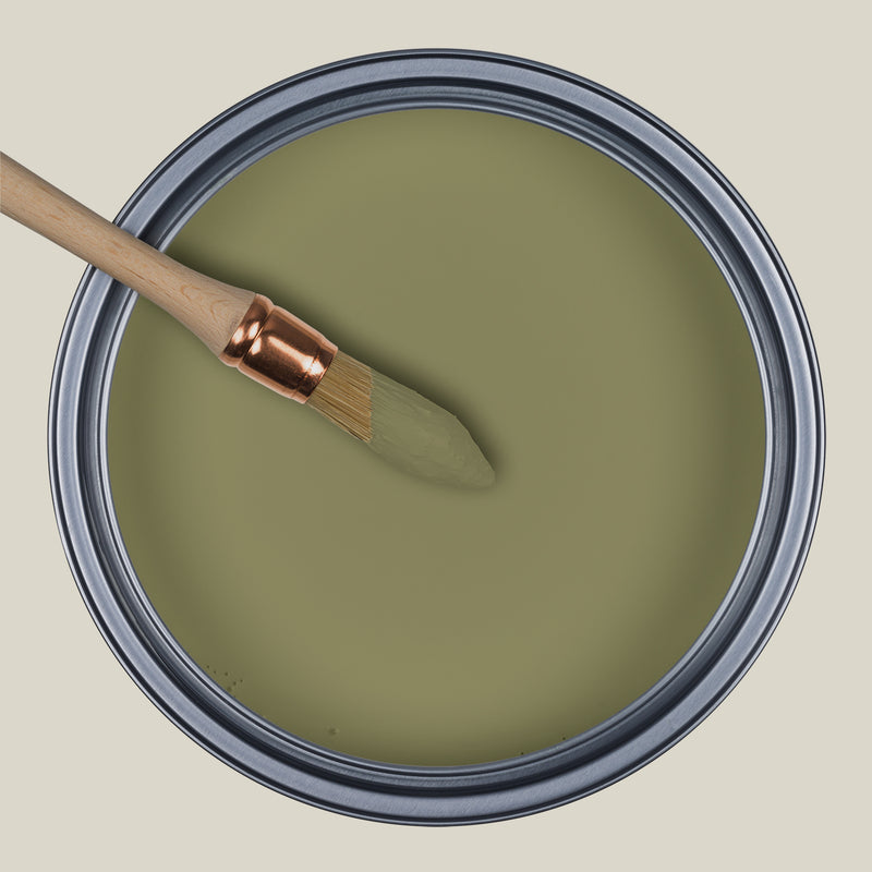 SL45 - Safari